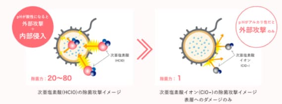 除菌攻撃イメージ
